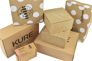 Consegna express Scatole in Zwijnaarde Belgio